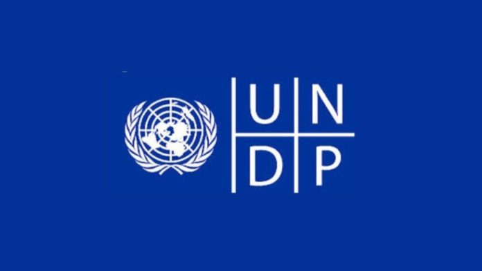 UNDP Remote Internship in Digital, AI and Innovation 2026: The Ultimate Guide to Applying